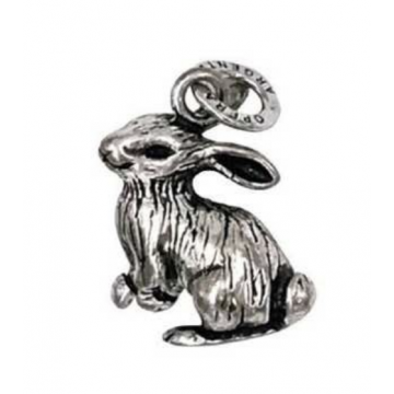 Lapin - Moyen