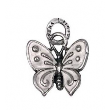 Papillon Blanc - Moyen