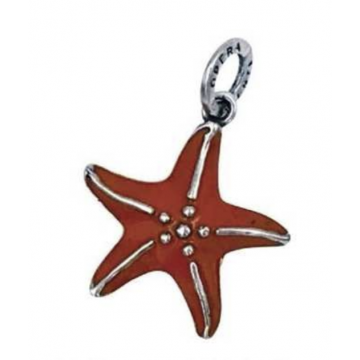 Orange Starfish - Medium