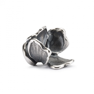 Fiore Delicato - TAGPE-10249