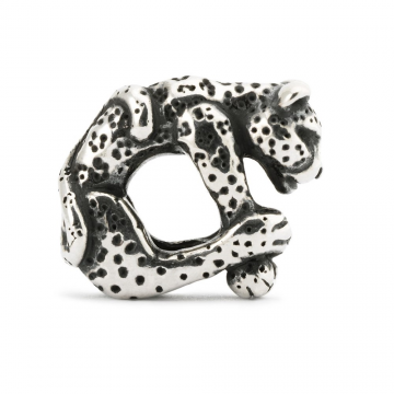 Leopardo